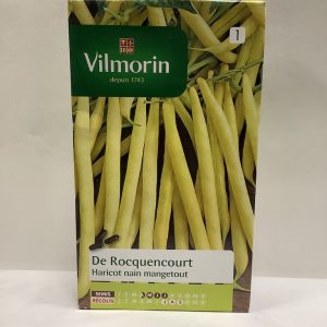 Boîte recto de graines d'Haricot De Rocquencourt nain mangetout