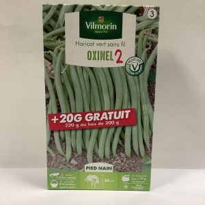 Boîte recto de graines d'Haricot vert OXINEL 2